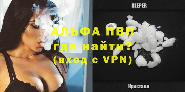 мдпв Дмитриев