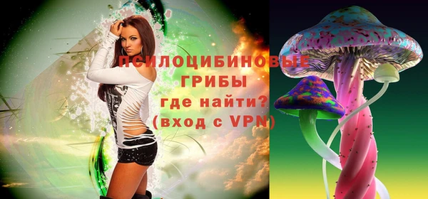 синтетический гашиш Гусиноозёрск
